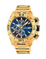 Watch Festina Man Prestige in Steel yellow gold plated F20492/2